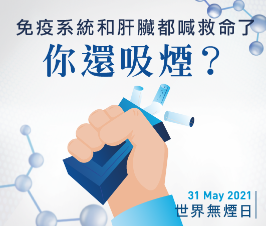 【健康知識庫】免疫系統和肝臟都喊救命了，你還吸煙？